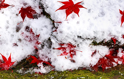 年末年始営業日のお知らせ