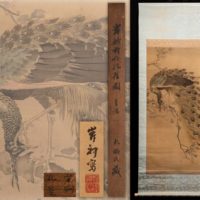 岸越前介孔雀図 日本画 着彩絹本