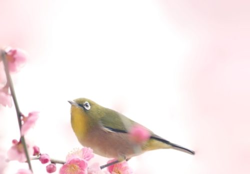 年末年始休業のお知らせ