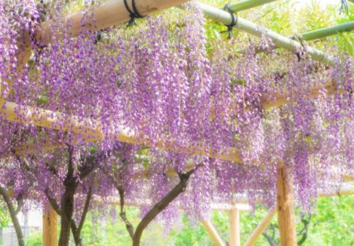 GW休業のお知らせ