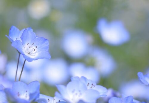 GW休業のお知らせ