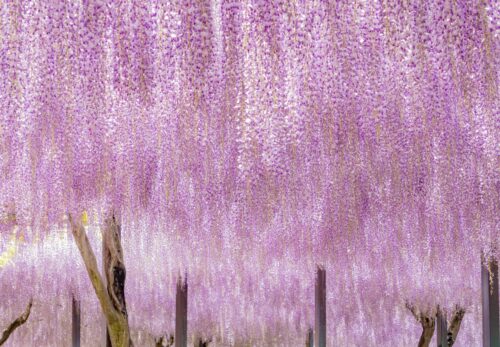 GW休業のお知らせ