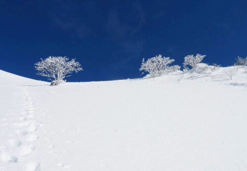 冬季休業のお知らせ